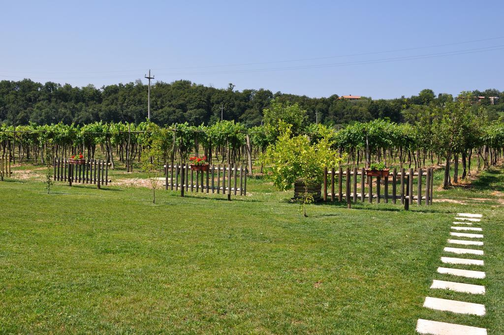 Agriturismo Ai Ciliegi Bardolino Exterior foto